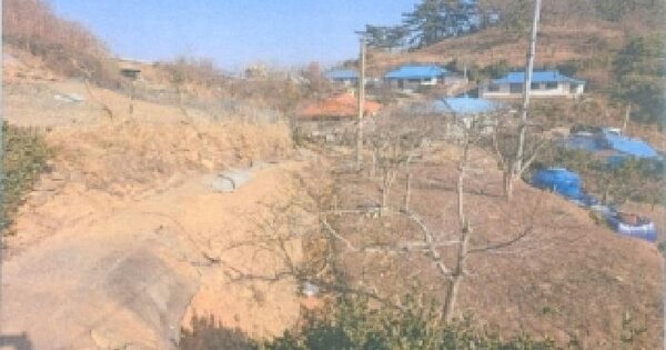 강원특별자치도 삼척시 원덕읍 호산리 280 전 경매 물건 이미지