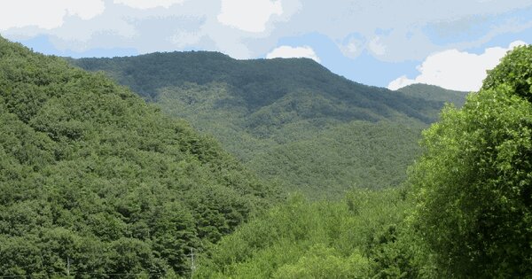 전라남도 곡성군 목사동면 용봉리 56-1 답 경매 물건 이미지