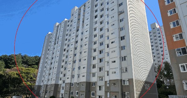 부산광역시 사상구 학장동 167-3 학장대림아파트 105동 12층1206호 아파트 경매 물건 이미지