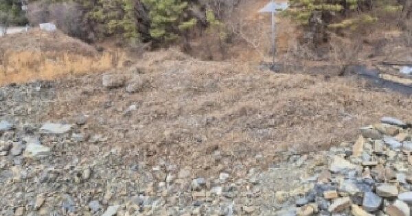 경상남도 고성군 고성읍 신월리 406 답 경매 물건 이미지