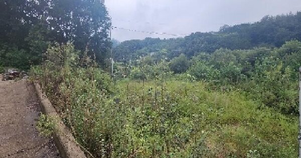 충청북도 옥천군 동이면 석탄리 497 전 경매 물건 이미지