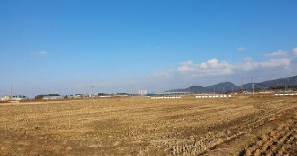 전북특별자치도 김제시 봉남면 평사리 1158-2 답 경매 물건 이미지