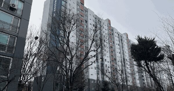 대전광역시 중구 오류동 175-1 삼성아파트 5동 3층305호 아파트 경매 물건 이미지