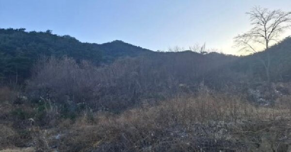 경상남도 산청군 신등면 모례리 산66 임야 경매 물건 이미지