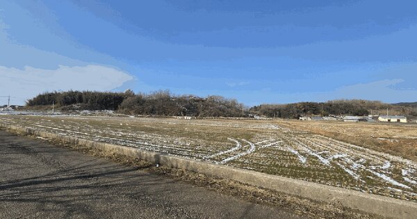 전남광주통합특별시 함평군 손불면 궁산리 산167-1 임야 경매 물건 이미지