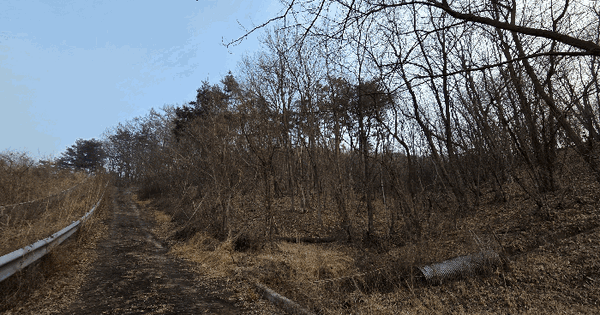 충청남도 공주시 월미동 산22-1 임야 경매 물건 이미지