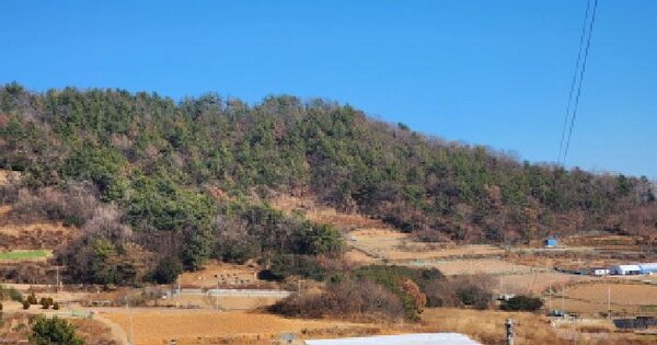 전남광주통합특별시 여수시 화양면 용주리 산102-2 잡종지 경매 물건 이미지