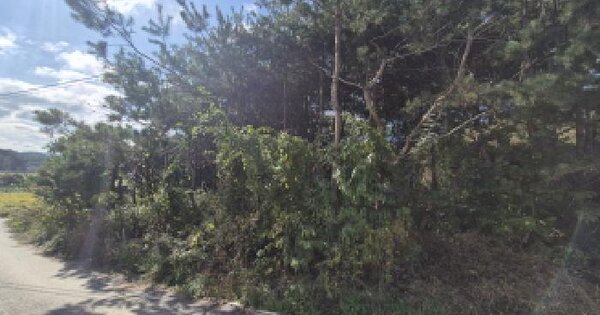 세종특별자치시 장군면 대교리 229 전 경매 물건 이미지