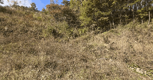 경상북도 영양군 석보면 지경리 66 전 경매 물건 이미지