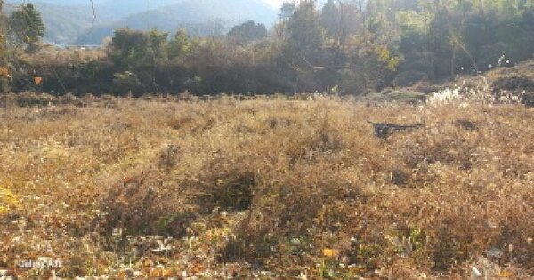 경상남도 거제시 장목면 율천리 292-4 전 경매 물건 이미지