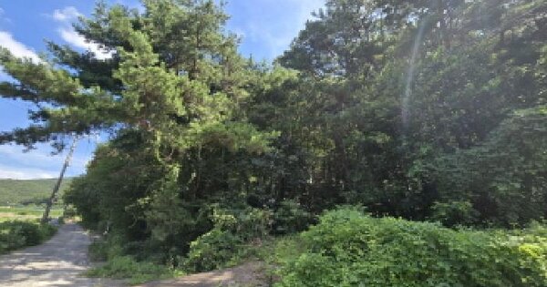 울산광역시 울주군 웅촌면 대복리 산41 임야 경매 물건 이미지