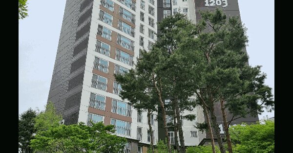 경기도 성남시 분당구 판교동 494 판교원마을 1203동 3층304호 아파트 경매 물건 이미지