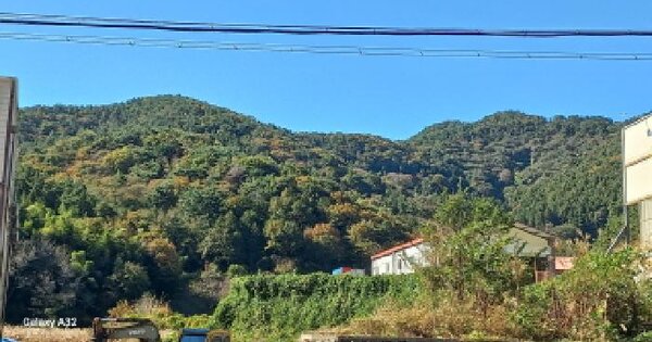 경상남도 거제시 연초면 덕치리 산80 임야 경매 물건 이미지