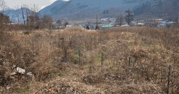 충청북도 충주시 수안보면 온천리 829-13 전 경매 물건 이미지