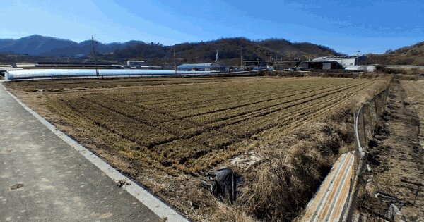경상남도 밀양시 상남면 마산리 1180 답 경매 물건 이미지