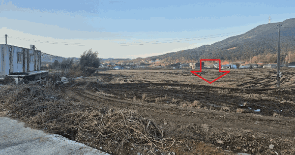 충청남도 당진시 구룡동 630-1 답 경매 물건 이미지