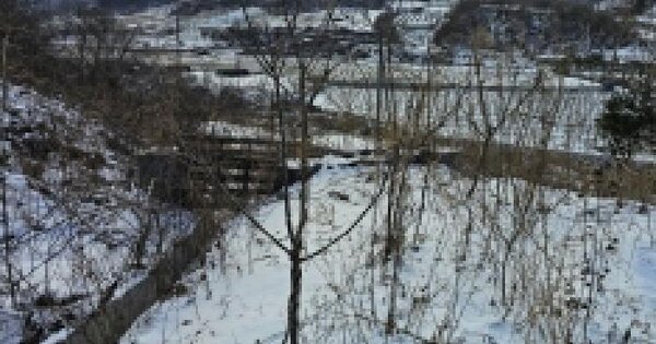 충청북도 단양군 대강면 덕촌리 149-5 전 경매 물건 이미지
