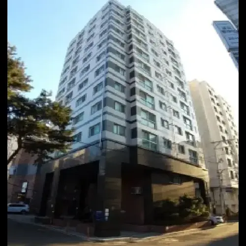 물건 사진