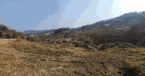 전남광주통합특별시 함평군 나산면 수상리 718-1 전 경매 물건 이미지