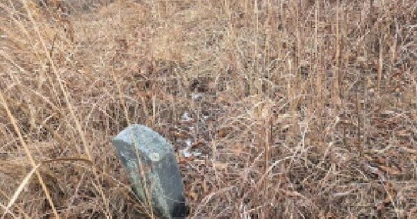 충청남도 아산시 음봉면 동암리 421-2 임야 경매 물건 이미지