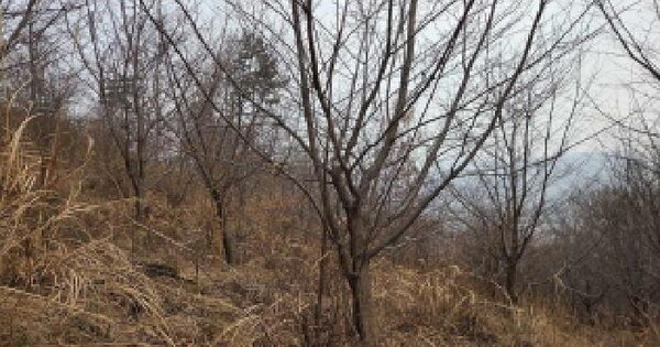 충청남도 아산시 음봉면 동암리 산78-44 임야 경매 물건 이미지