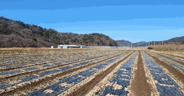 전북특별자치도 고창군 심원면 도천리 745 전 경매 물건 이미지