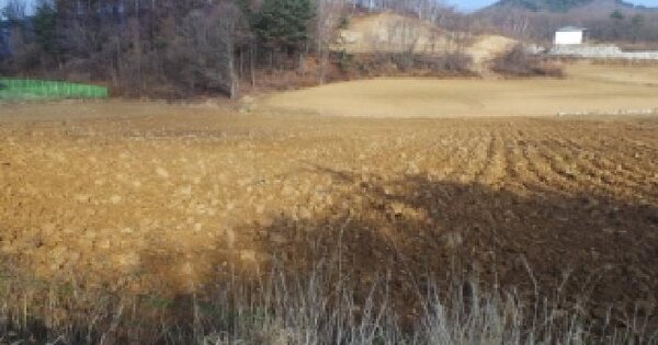 강원특별자치도 평창군 대관령면 용산리 293-8 전 경매 물건 이미지
