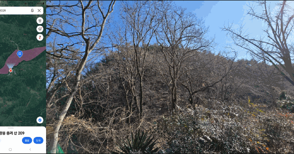 울산광역시 울주군 청량읍 중리 산209 임야 경매 물건 이미지