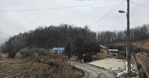 충청북도 음성군 원남면 마송리 838 대지 경매 물건 이미지