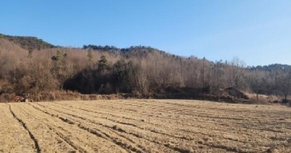 충청북도 영동군 용산면 청화리 133-1 전 경매 물건 이미지