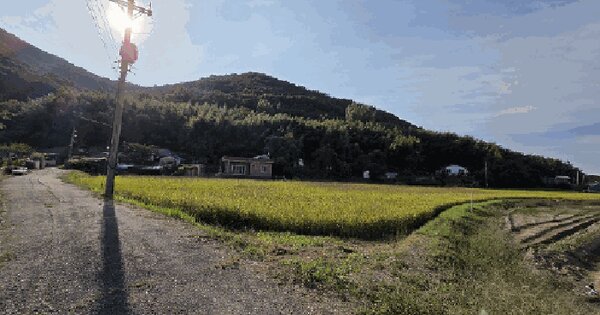 경상남도 김해시 생림면 도요리 204 답 경매 물건 이미지