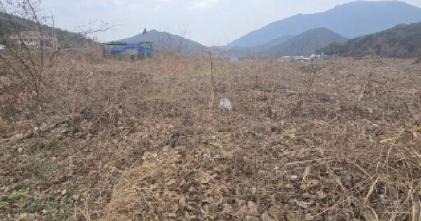 울산광역시 울주군 상북면 향산리 28 답 경매 물건 이미지