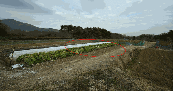 전남광주통합특별시 광양시 황길동 616-4 전 경매 물건 이미지