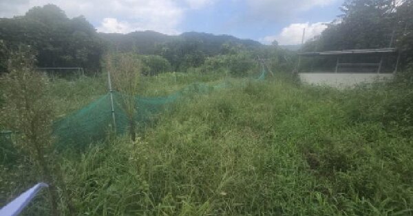 경상남도 양산시 상북면 외석리 102-1 과수원 경매 물건 이미지