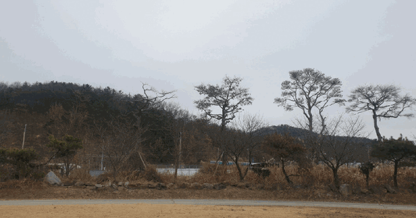 경상북도 칠곡군 왜관읍 금산리 851-68 전 경매 물건 이미지