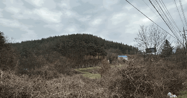 경상북도 영양군 입암면 방전리 산62 임야 경매 물건 이미지