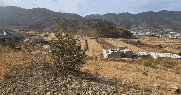 경상남도 거제시 장목면 율천리 산133-5 임야 경매 물건 이미지