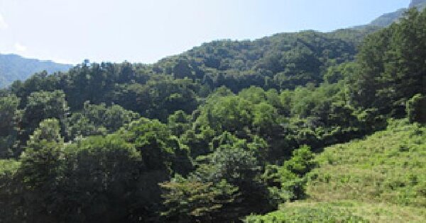 경상북도 문경시 농암면 궁기리 584-1 전 경매 물건 이미지