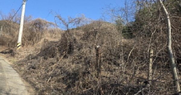 경상북도 경산시 용성면 용전리 91 전 경매 물건 이미지