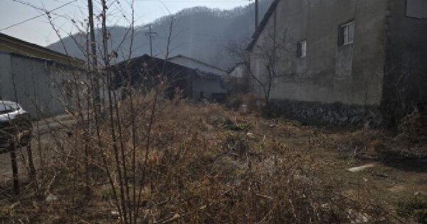 경상북도 영천시 오수동 411 과수원 경매 물건 이미지