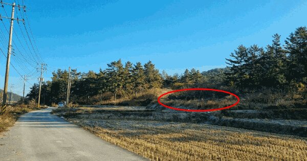 전라남도 신안군 안좌면 대리 1133 전 경매 물건 이미지