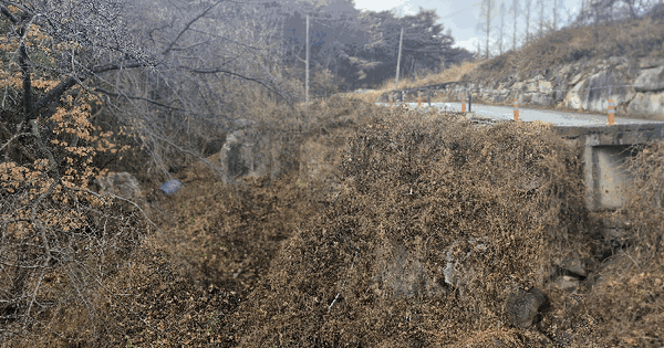 경상북도 경주시 외동읍 죽동리 182-1 전 경매 물건 이미지