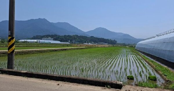 경상남도 사천시 노룡동 489-8 답 경매 물건 이미지