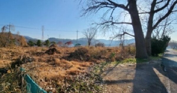 부산광역시 금정구 두구동 1420-3 잡종지 경매 물건 이미지