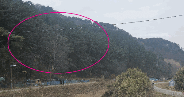 부산광역시 기장군 철마면 안평리 산109 임야 경매 물건 이미지