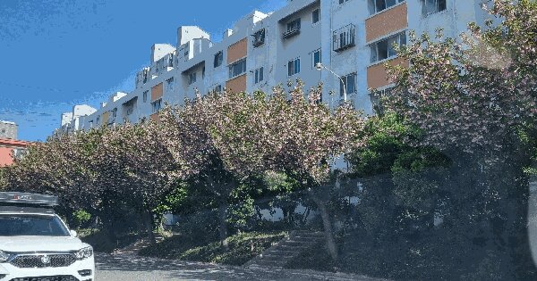 부산광역시 부산진구 개금동 614-2 신양 1동 4층408호 아파트 경매 물건 이미지