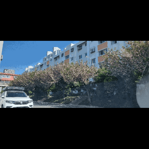 물건 사진