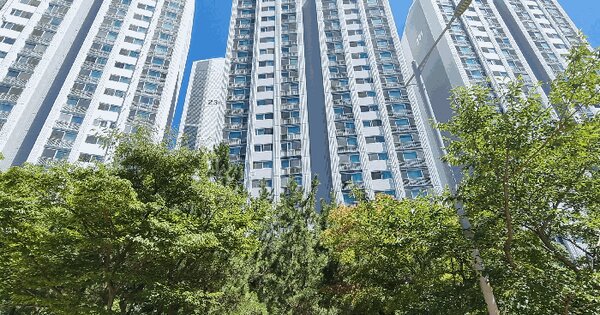부산광역시 남구 용호동 176-30 엘지메트로시티 232동 3층301호 아파트 경매 물건 이미지