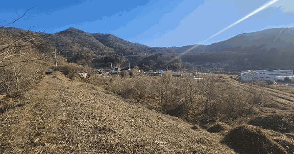 경상남도 양산시 명곡동 655-2 답 경매 물건 이미지