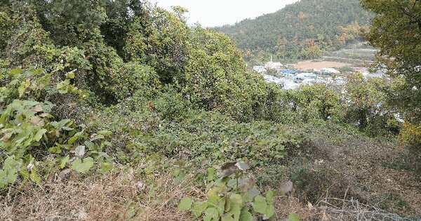 경상남도 남해군 남면 평산리 1186 전 경매 물건 이미지